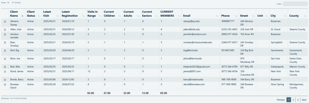 A generic custom dynamic report generated by the PantrySoft app with fake data.